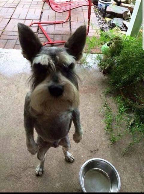 Acid Picdump 2 (85 pics)