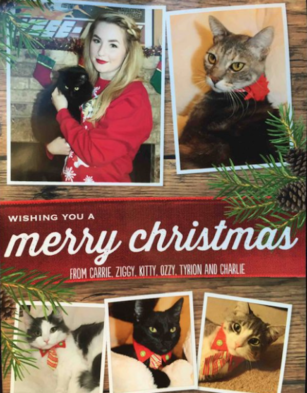 Christmas Cards From Single People (23 pics)