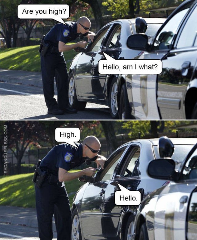 Police Memes (22 pics)
