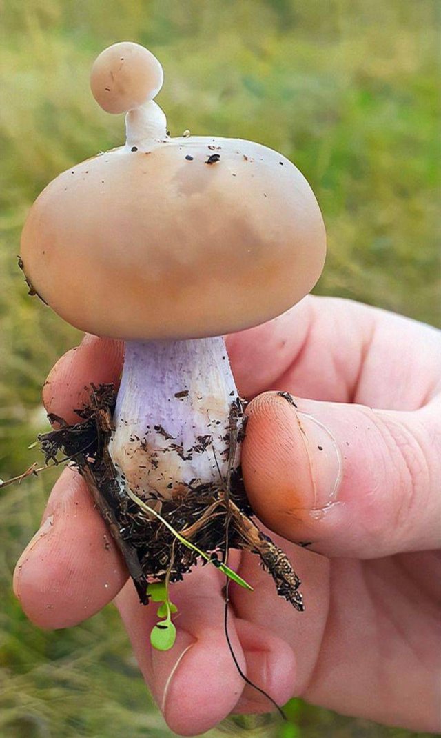 Nature's Beauty (48 pics) Nature's Beauty (48 pics)