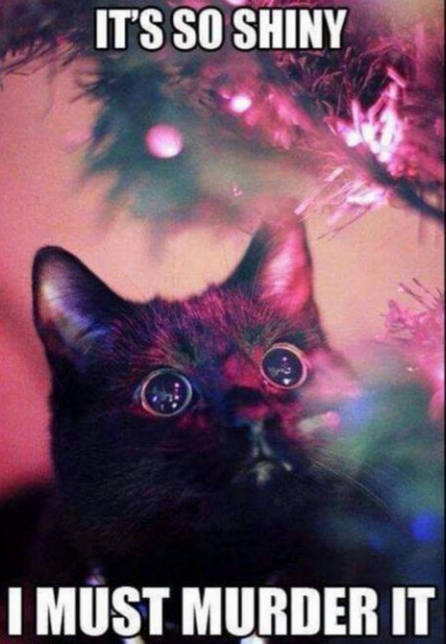 Radom Funny Memes (26 pics)