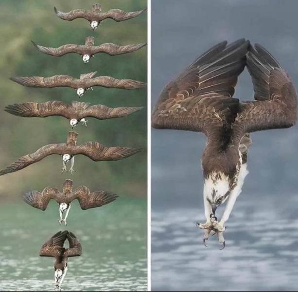 Acid Picdump. Part 2 (85 pics)