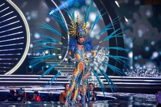 'Miss Universe' Contestants In Their National Costumes (69 pics)