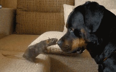 Acid Gifdump, December 15 (25 gifs)