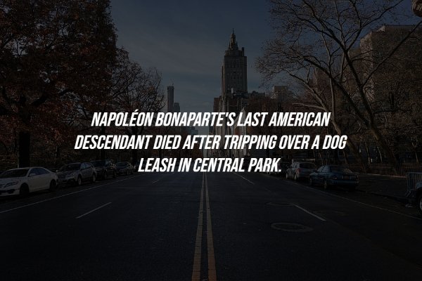 History Facts (15 pics)