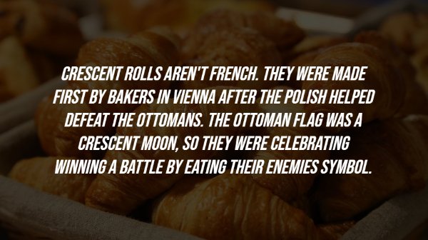 History Facts (15 pics)