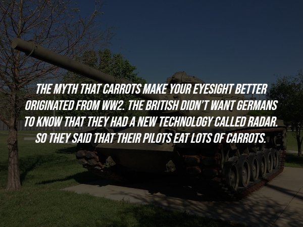 History Facts (15 pics)