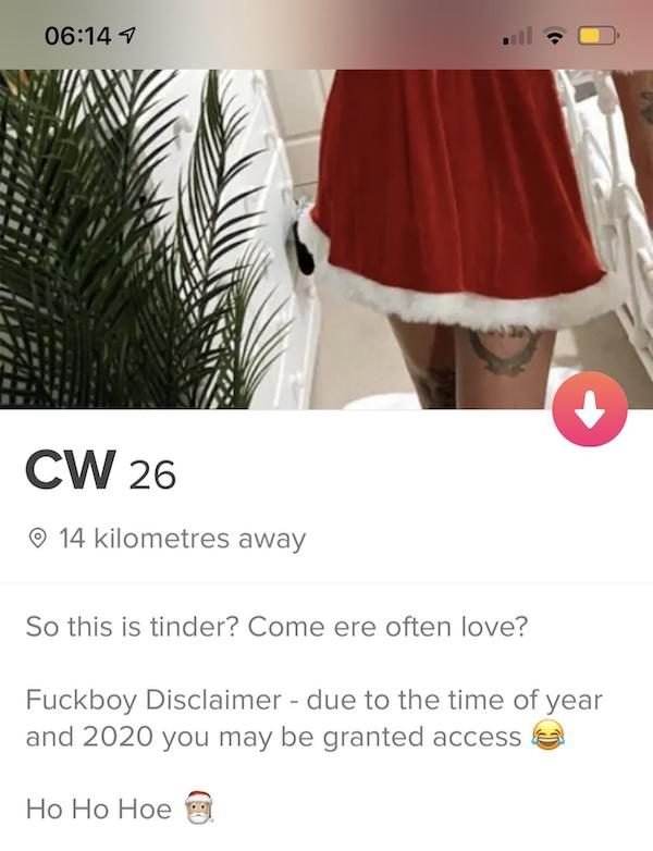 Dating Apps Tweets (29 pics)