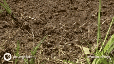 Acid Gifdump, December 17 (25 gifs)