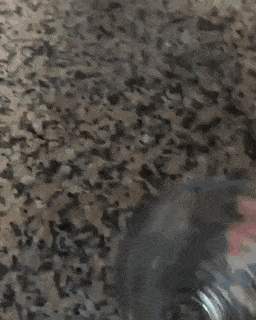 Acid Gifdump, December 17 (25 gifs)