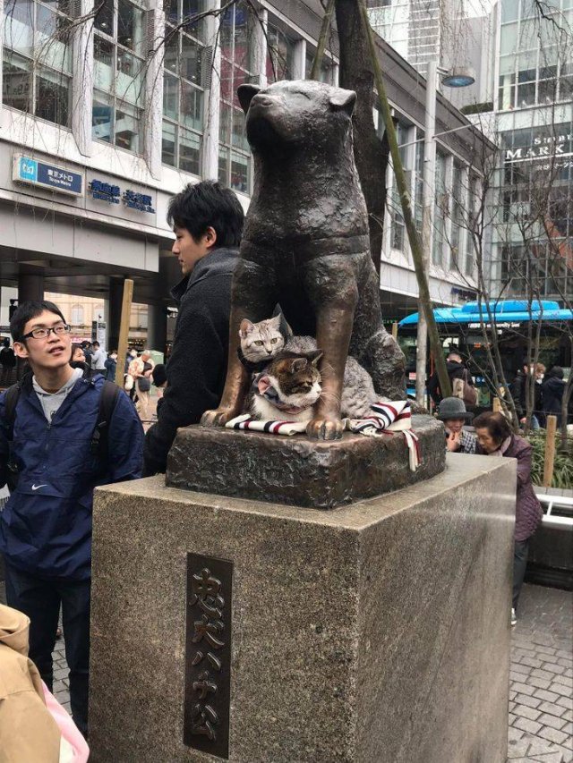 Life In Japan (19 pics)