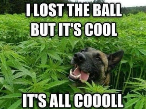 Random Funny Memes (33 pics)