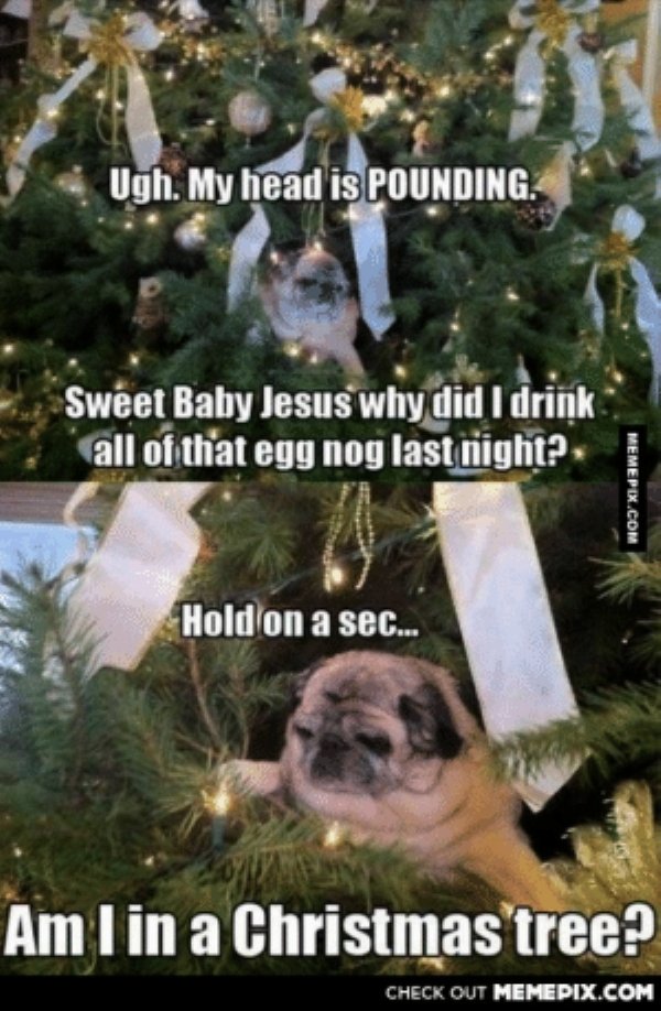 Alcohol Christmas Humor (28 pics)
