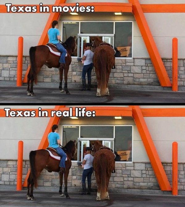 Texas Memes (35 pics)