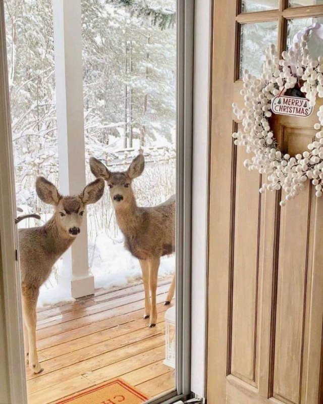 Acid Picdump. Part 1 (95 pics)