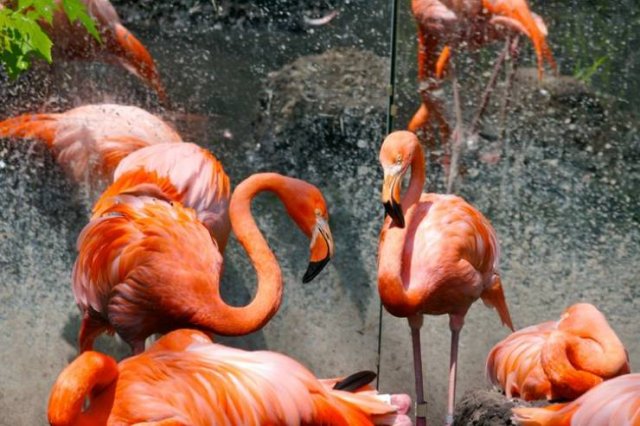 You Probably Haven't Heard About This (16 pics)