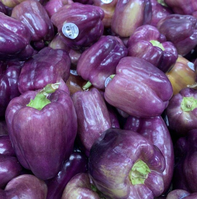 You Probably Haven't Heard About This (16 pics)