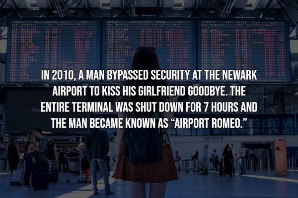 Interesting Facts (17 pics)