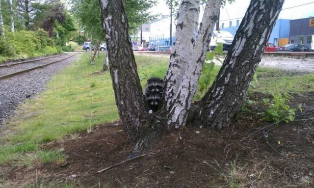 Acid Picdump. Part 1 (95 pics)