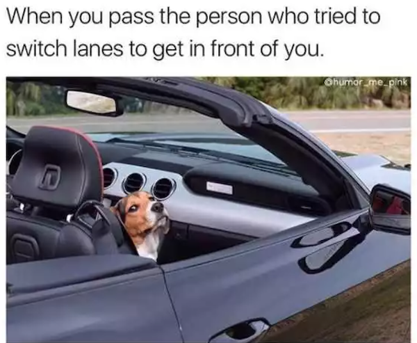 Driving Memes (33 pics)