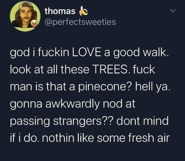 Wholesome Stories (66 pics)