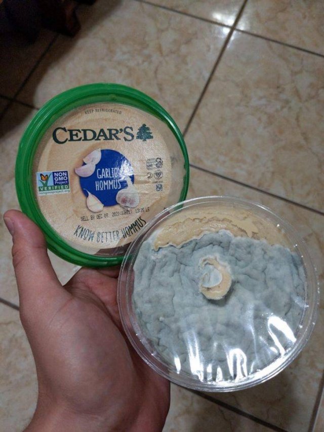 Expectation And Realities (32 pics) Expectation And Realities (32 pics)