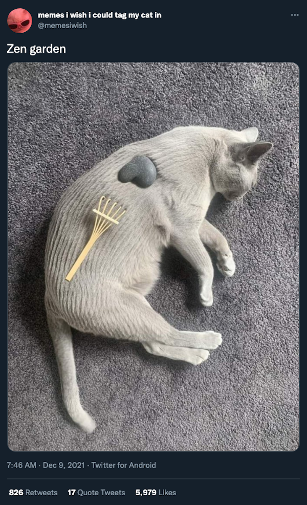 Cat Humor (32 pics)