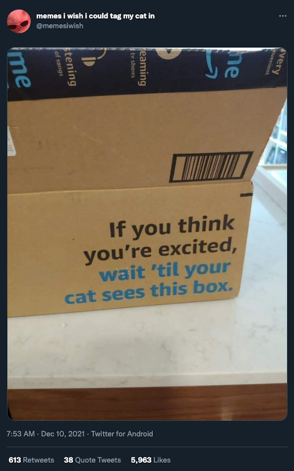 Cat Humor (32 pics)