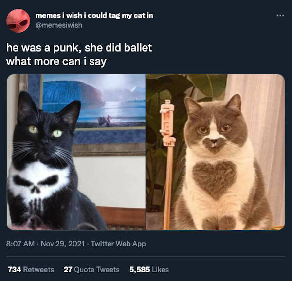 Cat Humor (32 pics)