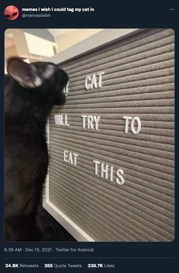 Cat Humor (32 pics)
