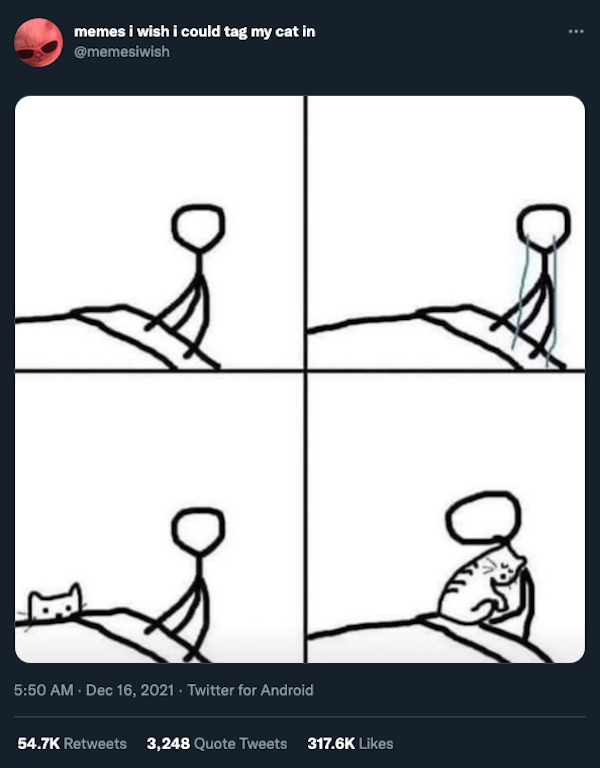 Cat Humor (32 pics)
