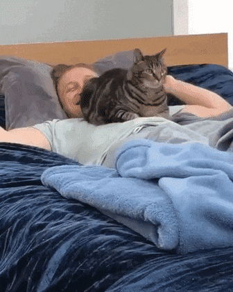 Acid Gifdump, December 23 (25 gifs)