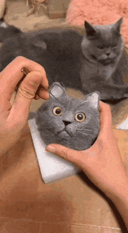 Acid Gifdump, December 23 (25 gifs)