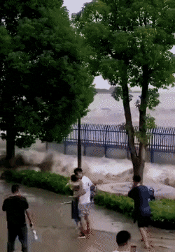 Acid Gifdump, December 23 (25 gifs)