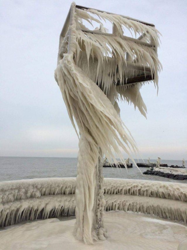 Unusual Photos (50 pics)