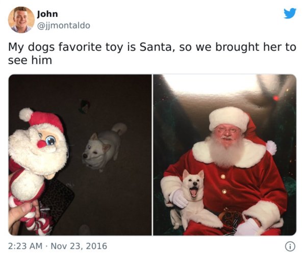 Christmas With Pets (30 pics)