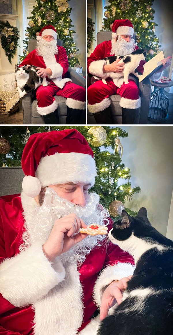 Christmas With Pets (30 pics)