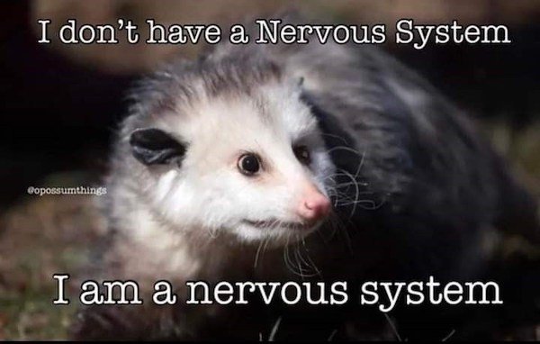 So True (38 pics)