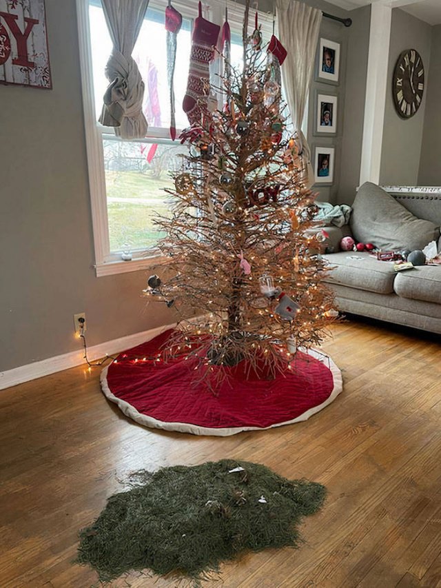 Christmas Fails (38 pics)