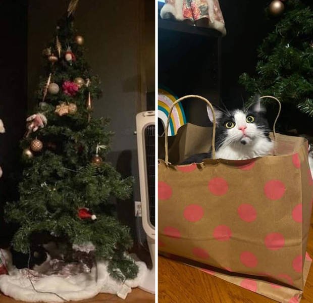 Christmas Fails (38 pics)