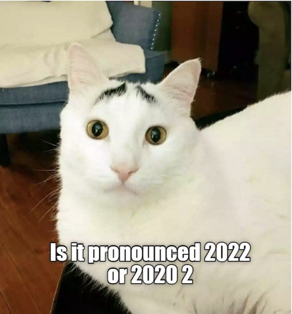 2022 Memes (30 pics)