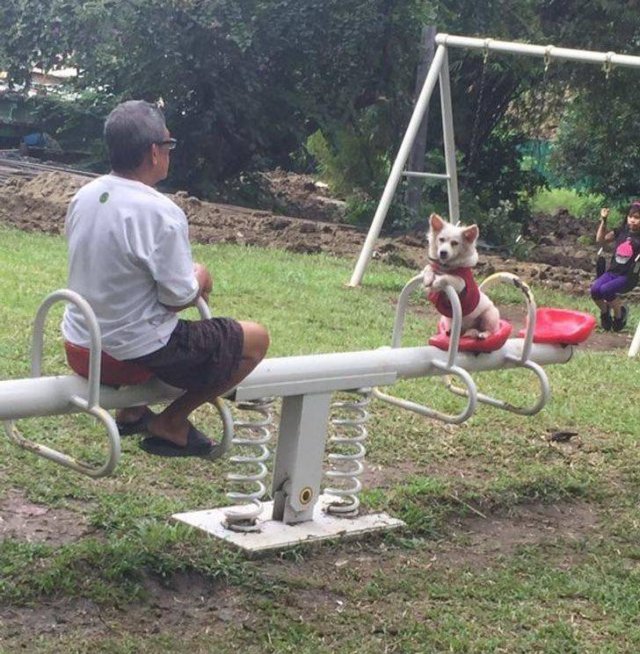 That Was Unexpected (45 pics) That Was Unexpected (45 pics)
