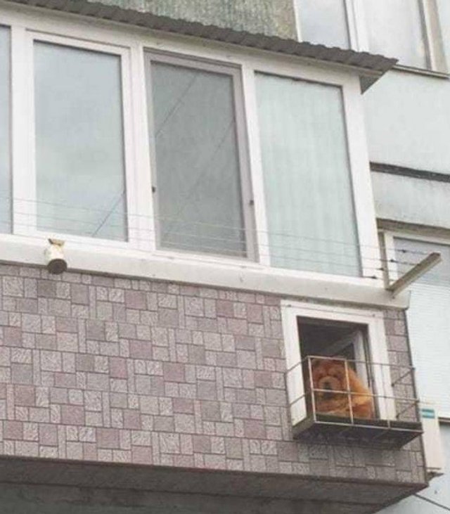 That Was Unexpected (45 pics)