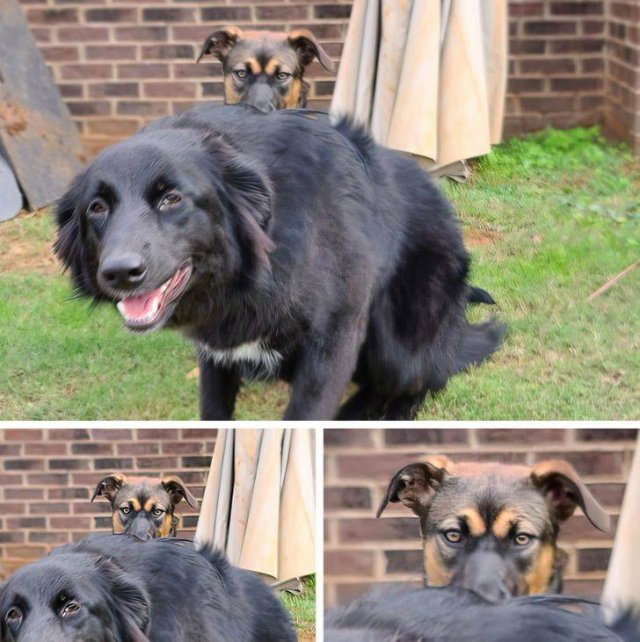 That Was Unexpected (45 pics) That Was Unexpected (45 pics)