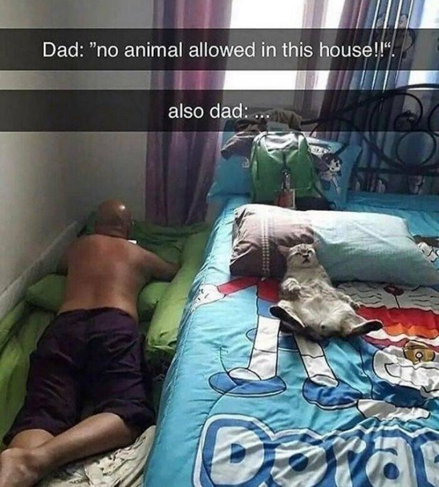 Funny Dad Posts (38 pics)