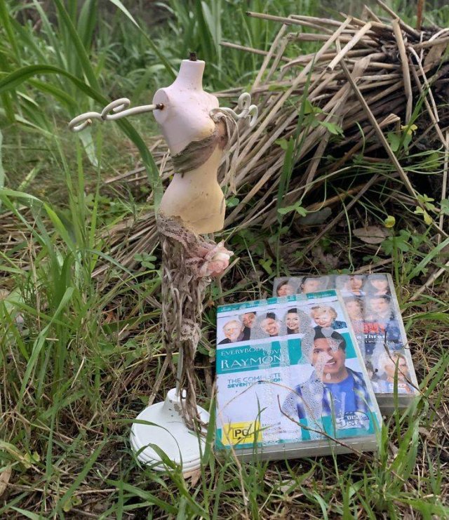 That Was Unexpected (45 pics)
