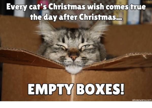 Christmas Memes (23 pics)