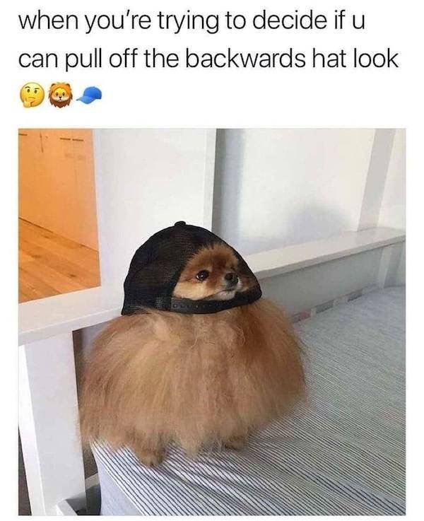 Acid Picdump. Part 2 (47 pics)
