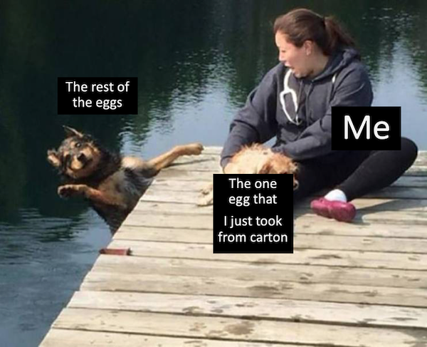 Dog Memes (31 pics)