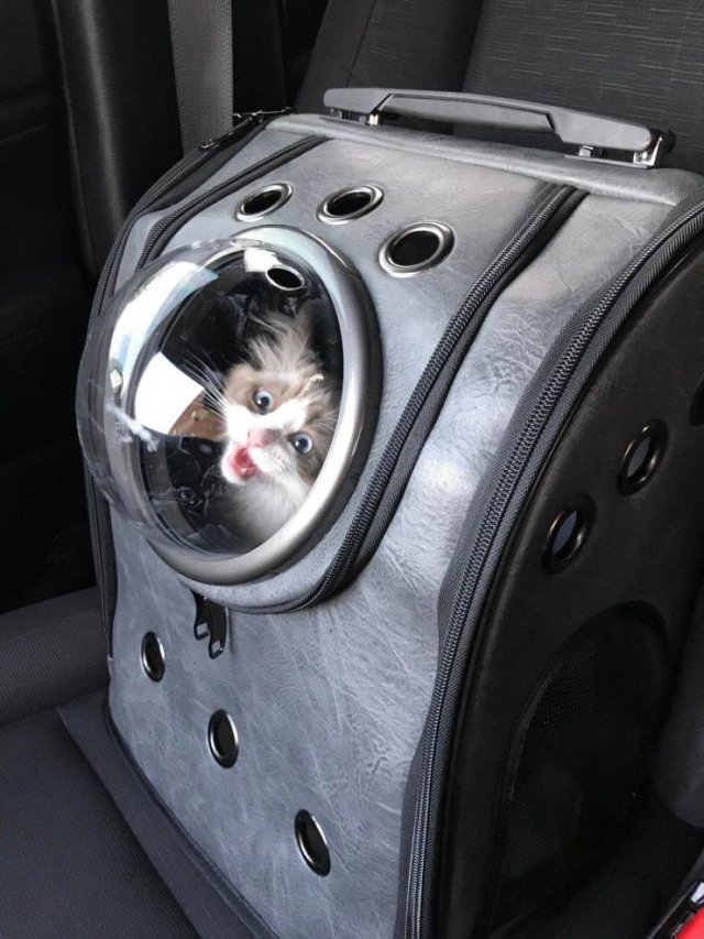 Acid Picdump. Part 1 (86 pics)